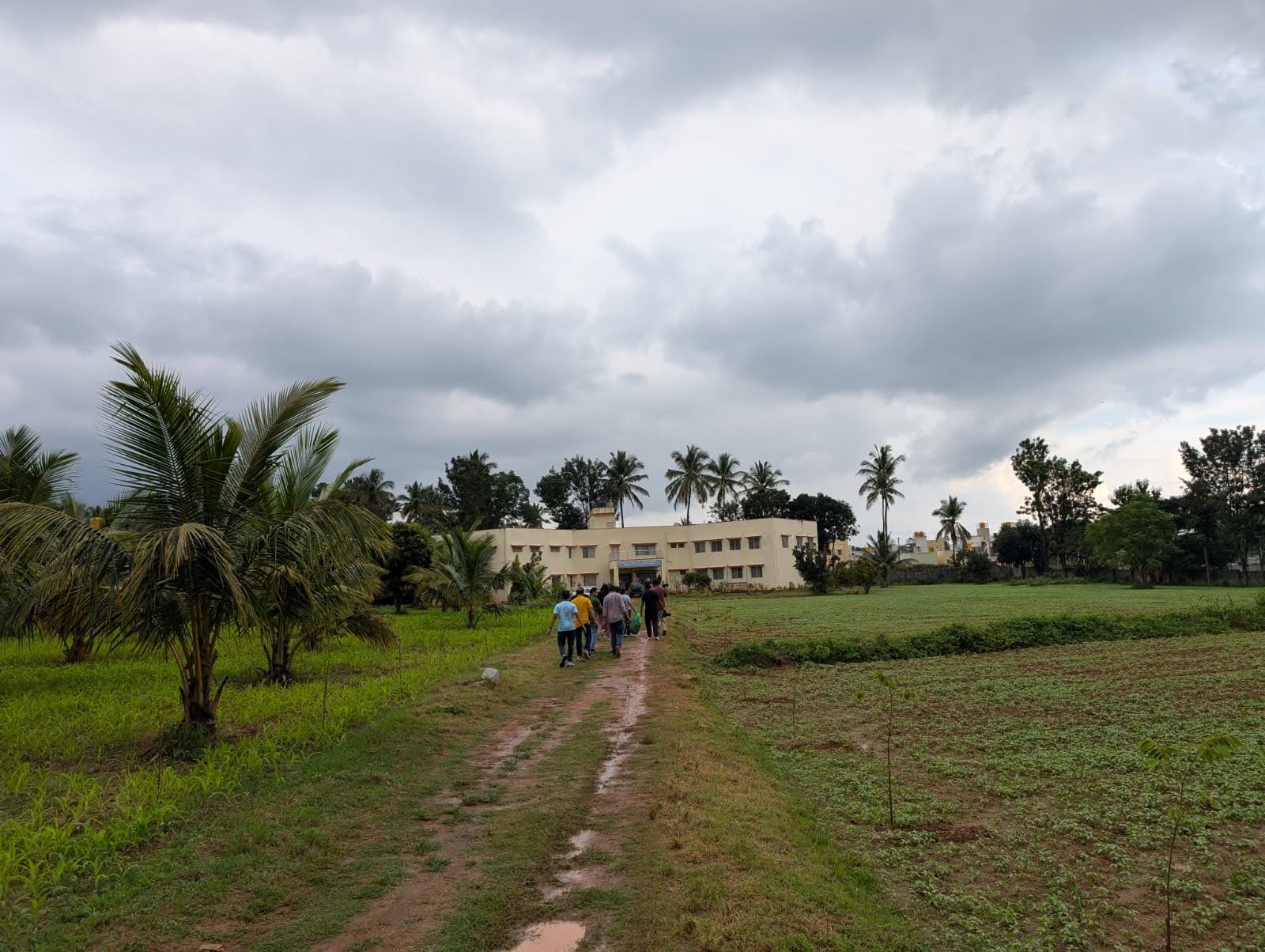 TR Team Volunteering photo 3